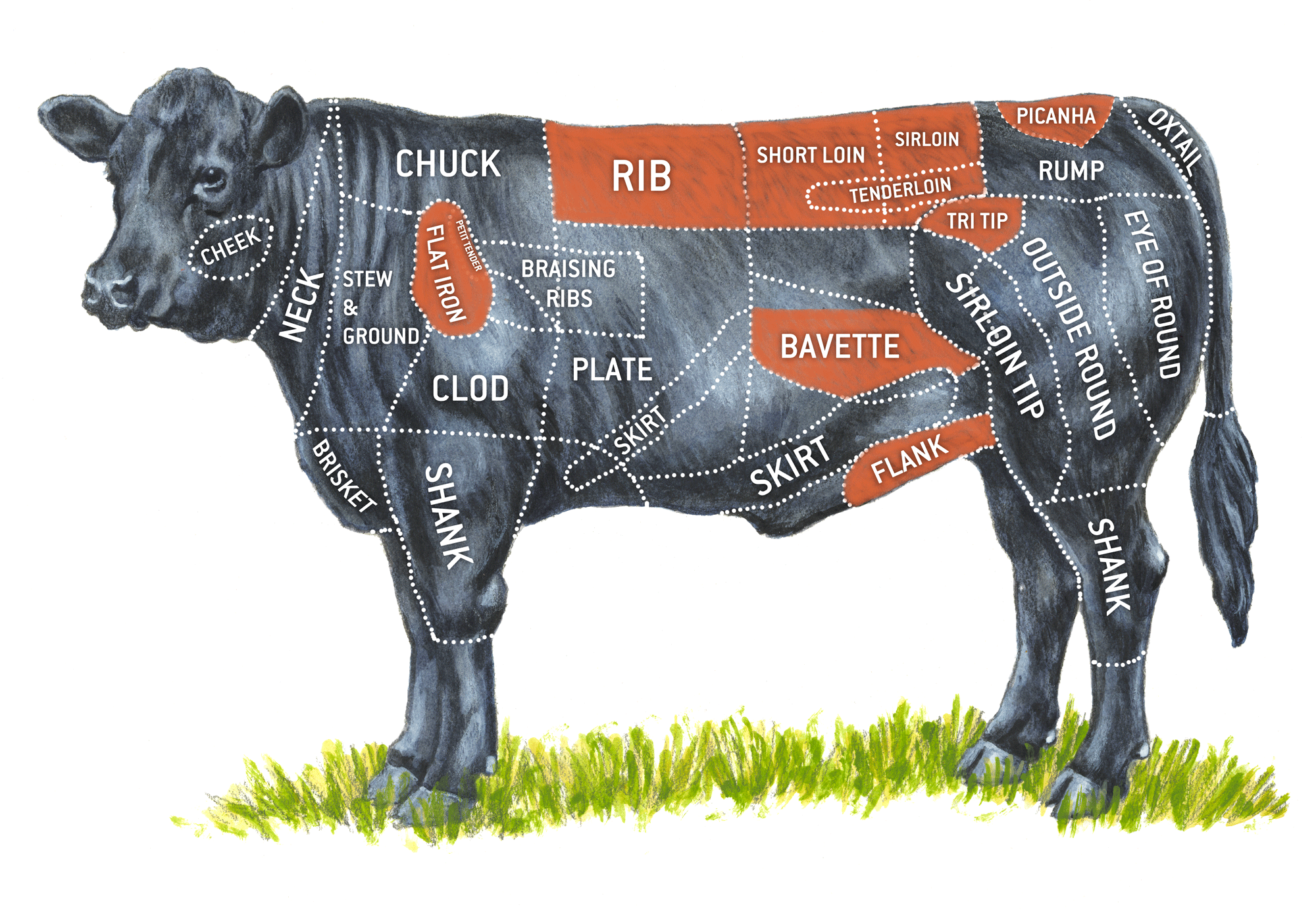A Guide to All the Cuts of Beef